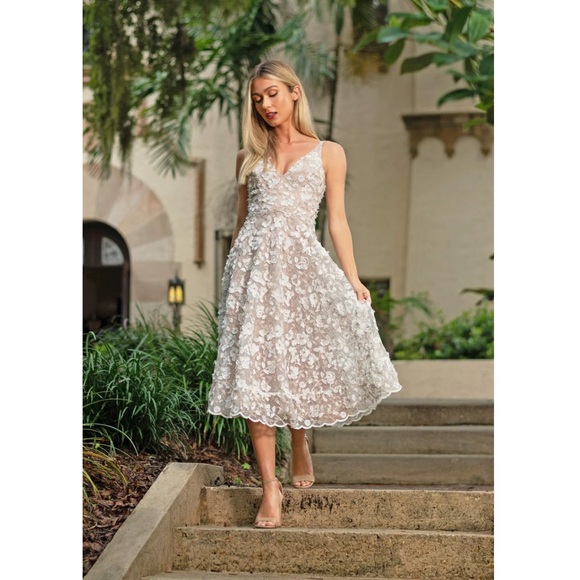 Dress the Population Dresses & Skirts - NWOT Dress The Population Elisa Midi Dress